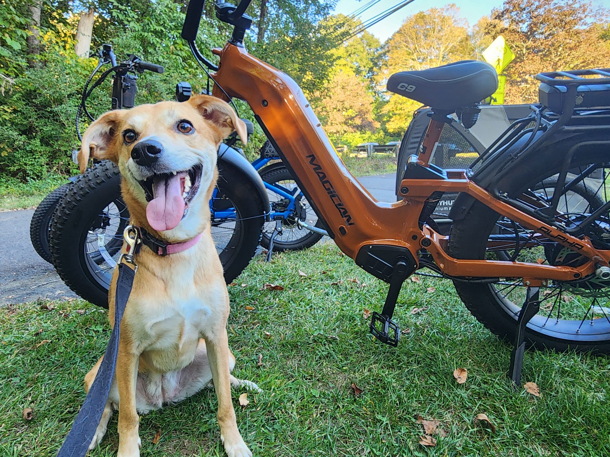 Magician Alpha Side Profile