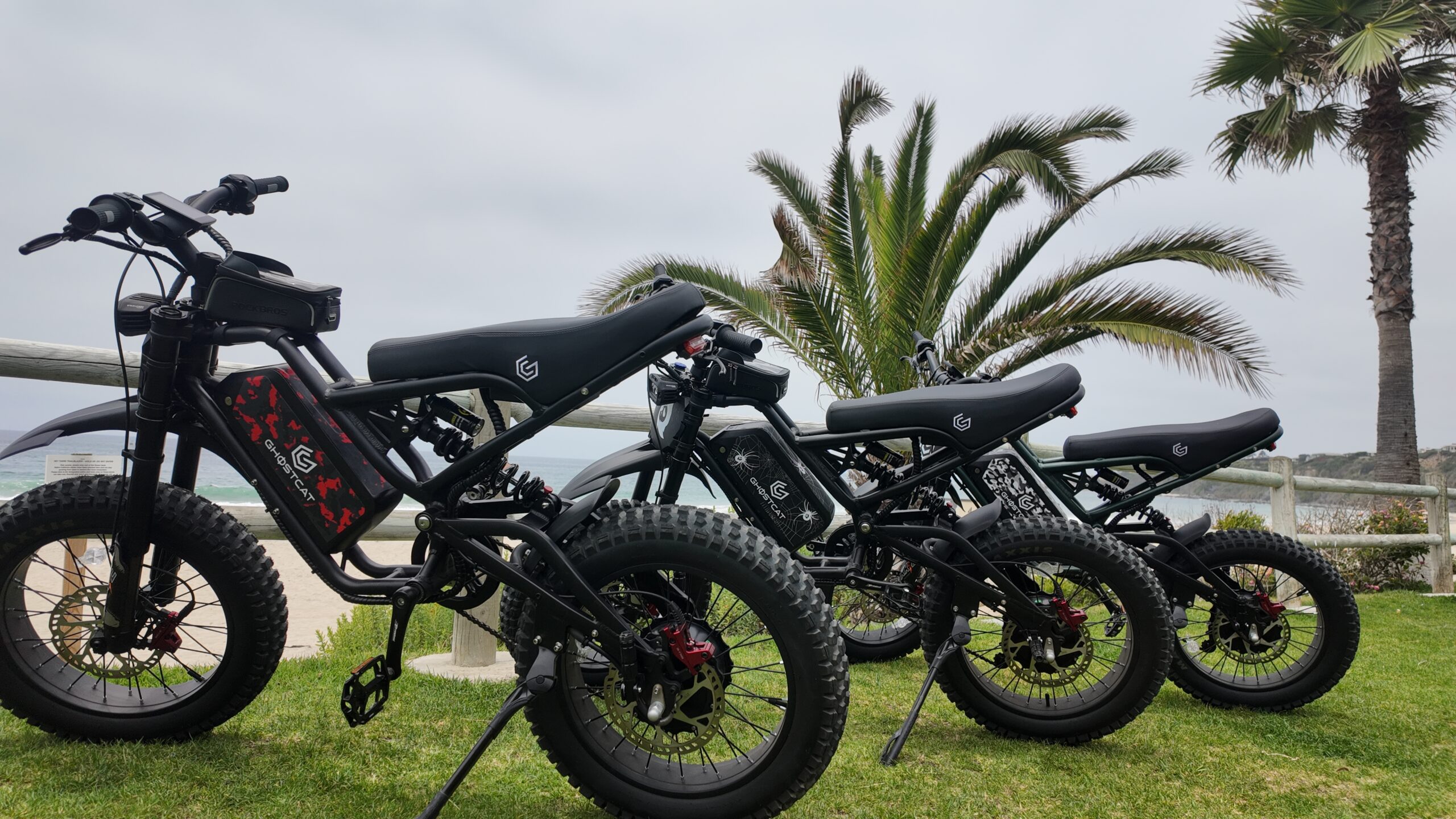 Ghost Cat F4X Action Shot